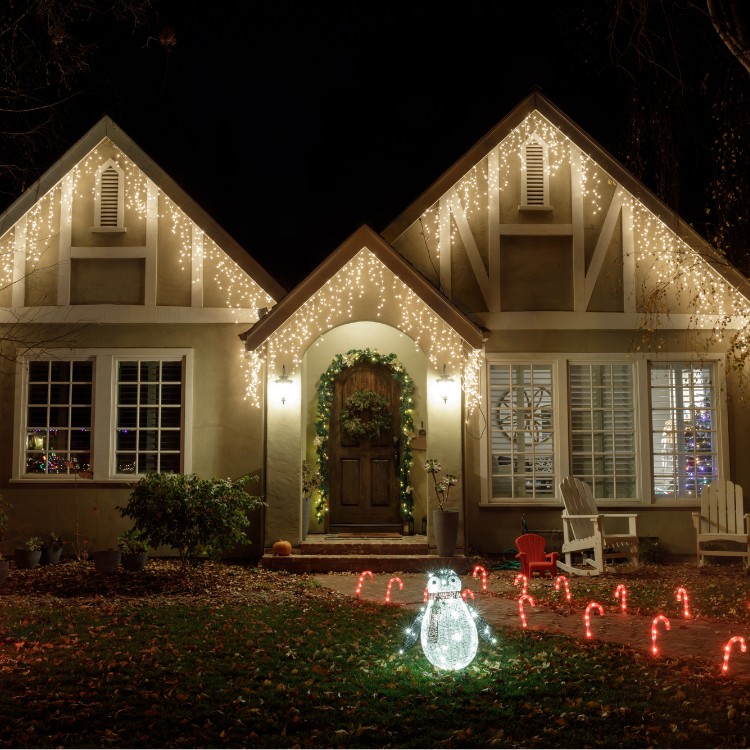 Holiday Light Installation in Richmond VA