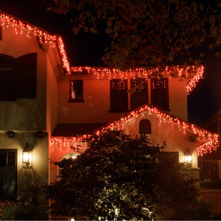 Holiday Light Installation in Richmond VA